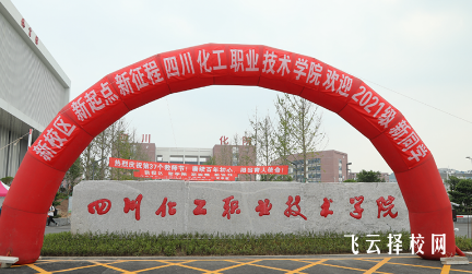 四川化工職業(yè)技術(shù)學(xué)院2024單招