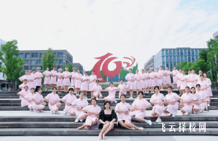 四川衛(wèi)生康復(fù)職業(yè)學(xué)院?jiǎn)握袑I(yè)