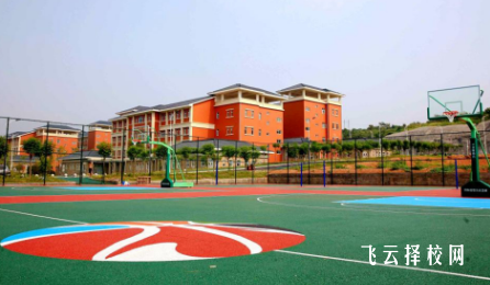 四川中醫藥高等專科學校單招分數線