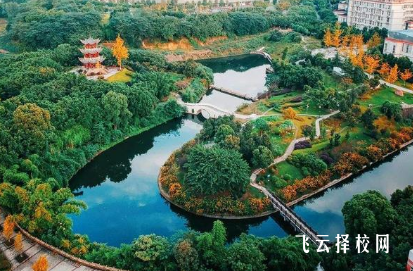 西南醫科大學醫學影像學專業介紹