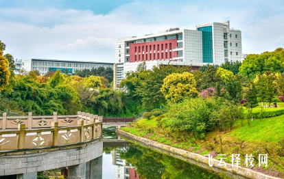 西南醫科大學麻醉學專業介紹