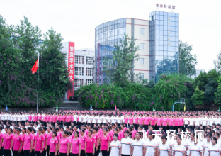 成都華大衛校是公辦還是民辦