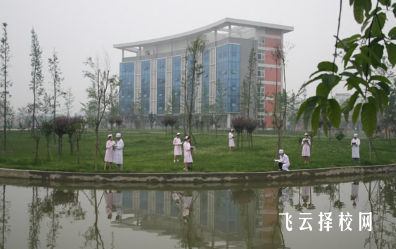 成都鐵路衛(wèi)生學(xué)校收費(fèi)多少