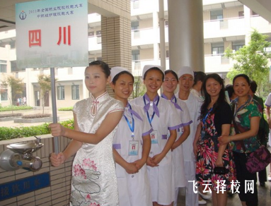 成都衛生學校是公辦還是民辦