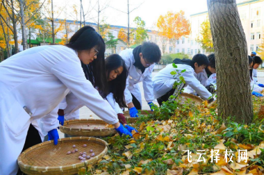 內(nèi)江衛(wèi)生與健康職業(yè)學(xué)院中藥學(xué)專業(yè)介紹