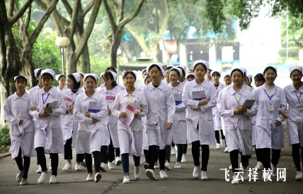 樂山市醫藥科技學校是公立學校嗎