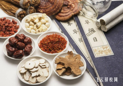 中藥學(xué)專業(yè)主要學(xué)什么