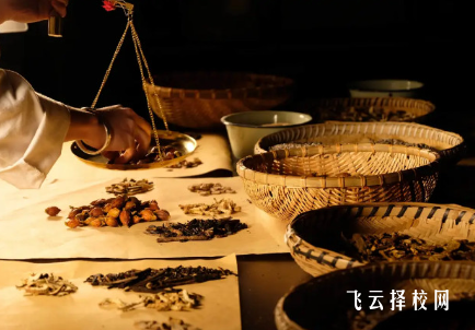 中醫專業有哪些學校