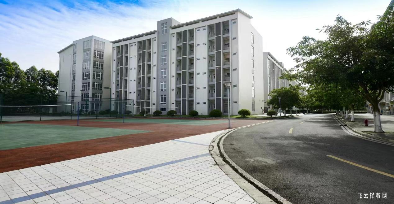 德陽科貿職業學院2024單招專業有哪些