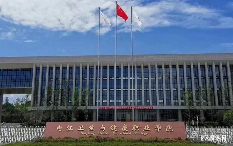 內(nèi)江衛(wèi)生與健康職業(yè)學(xué)院2024單招專業(yè)有哪些