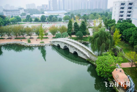 四川交通職業(yè)技術(shù)學(xué)院2024單招專業(yè)有哪些