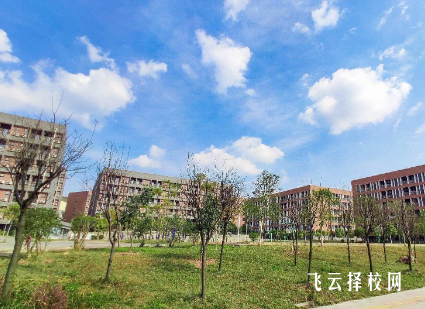 四川科技職業學院2024單招專業有哪些