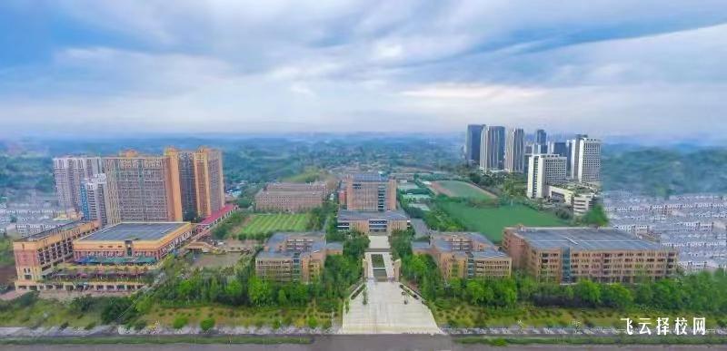 四川希望汽車職業學院2024單招專業有那些