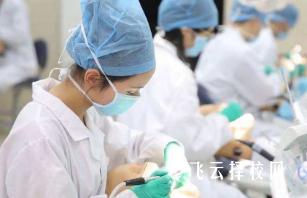 雅安職業技術學院2024單招專業有哪些