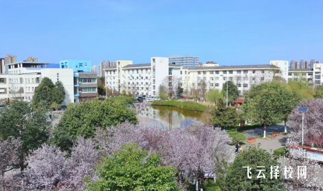 川北幼兒師范高等專科學校2024年單招考什么