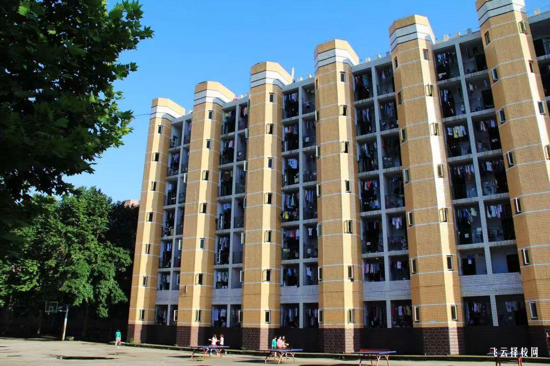 達(dá)州職業(yè)技術(shù)學(xué)院2024年單招考什么