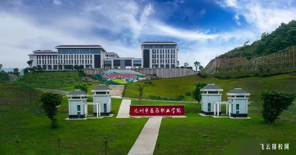 達(dá)州中醫(yī)藥職業(yè)學(xué)院2024年單招考什么