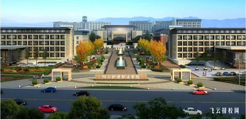 四川護理職業學院2024年單招考什么