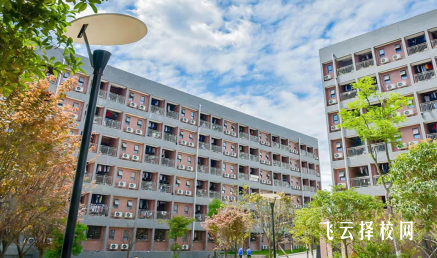 四川科技職業學院2024年單招考什么