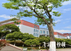 四川汽車職業技術學院2024年單招考什么