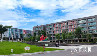 四川衛生康復職業學院2024年單招考什么