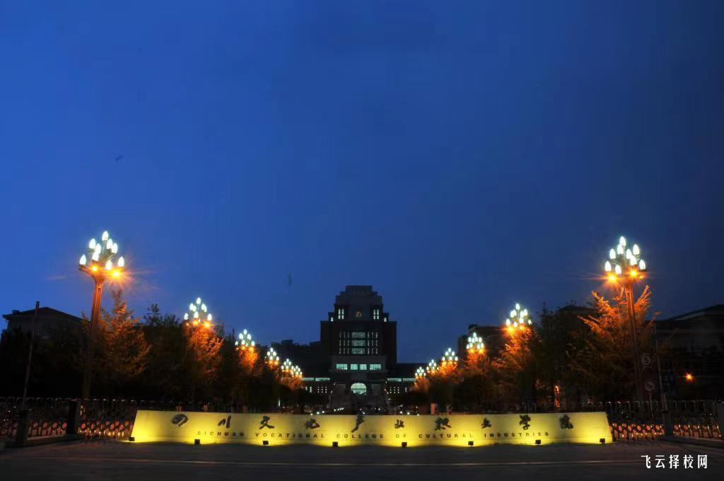 四川文化產業職業學院2024年單招考什么