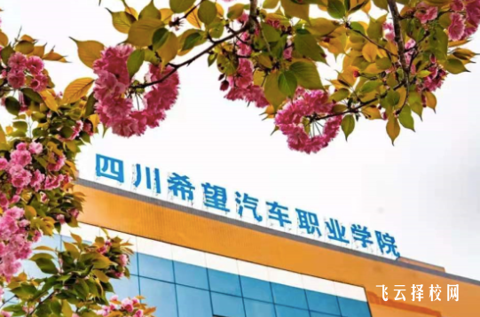 四川希望汽車職業學院2024年單招考什么