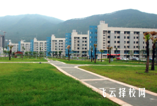 四川信息職業技術學院2024年單招考什么