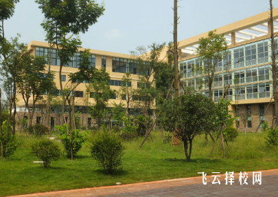 四川藝術職業學院2024年單招考什么