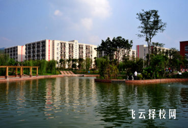 成都文理學院2024單招招生計劃