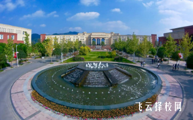 成都文理學院2024單招招生計劃