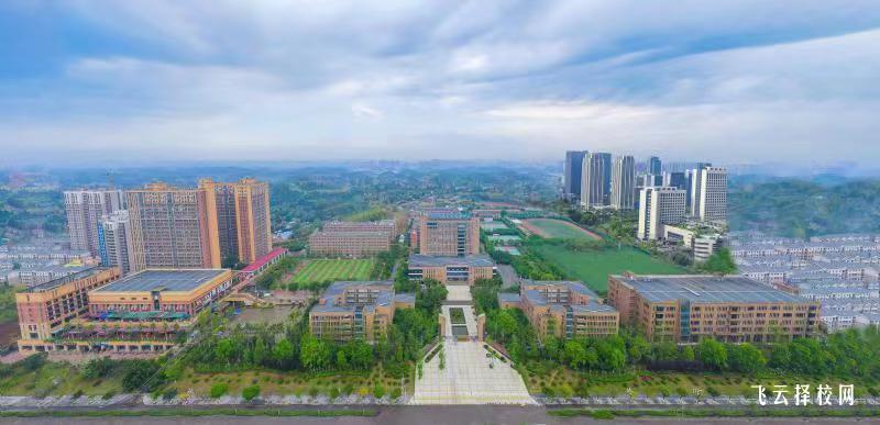 四川希望汽車職業學院2024單招招生計劃