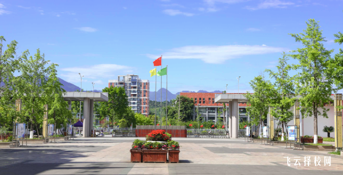 四川幼兒師范高等專科學校2024單招招生計劃