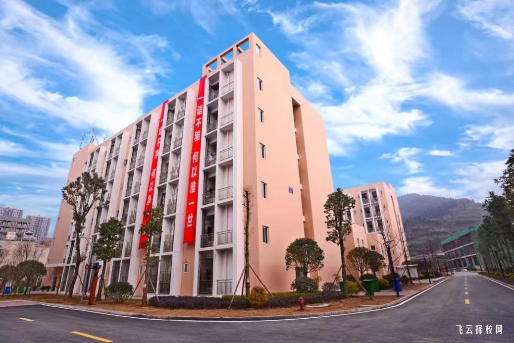 天府新區信息職業學院2024單招招生計劃