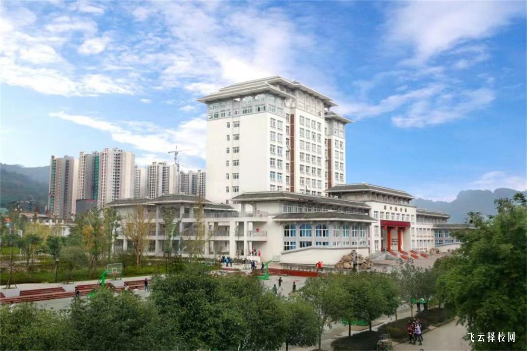 雅安職業(yè)技術(shù)學(xué)院2024單招招生計(jì)劃