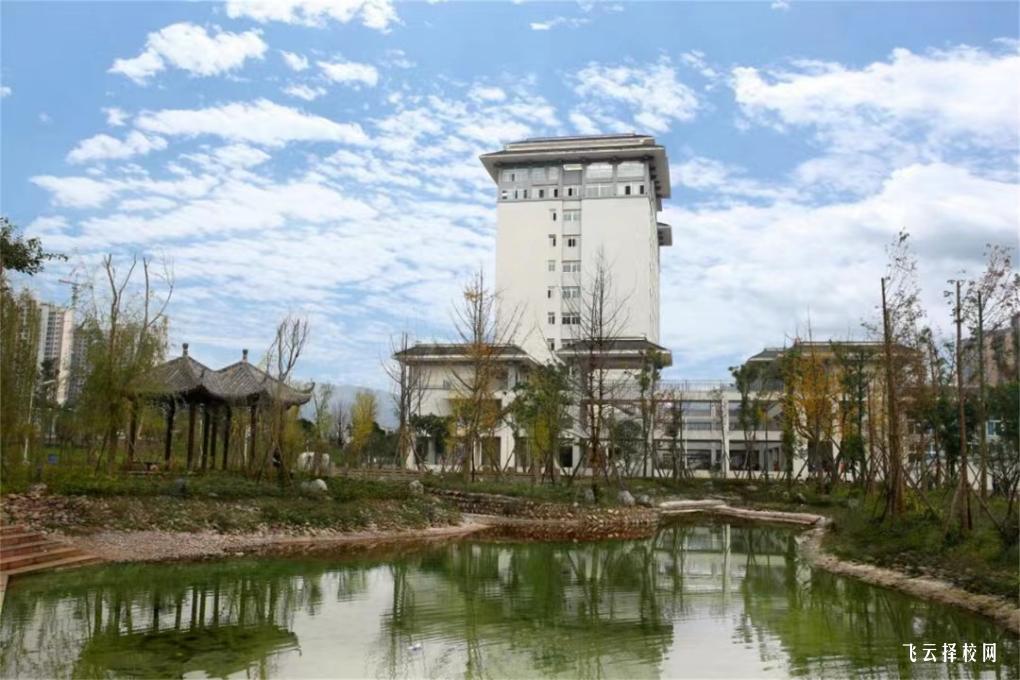 雅安職業(yè)技術(shù)學(xué)院2024單招招生計(jì)劃