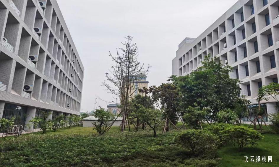 內(nèi)江衛(wèi)生與健康職業(yè)學(xué)院2023單招錄取分數(shù)