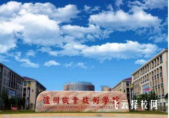 瀘州職業技術學院2024單招怎么報名