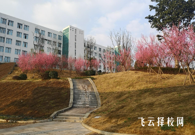 南充職業技術學院2024單招怎么報名