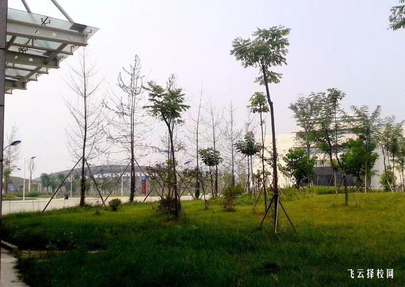 四川建筑職業(yè)技術學院2024單招怎么報名