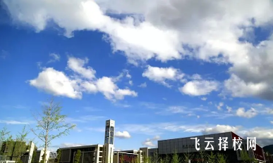 四川信息職業(yè)技術(shù)學(xué)院2024單招怎么報名