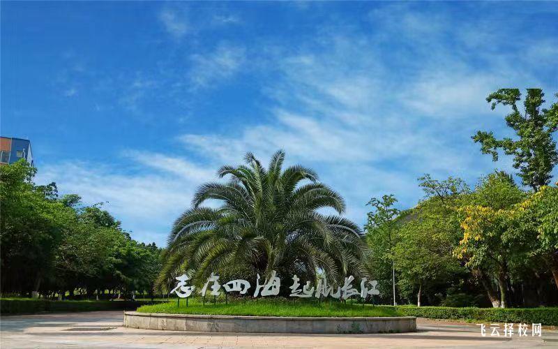 四川長江職業學院2024單招怎么報名