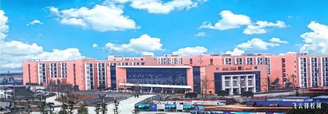 天府新區信息職業學院2024單招是面試還是筆試