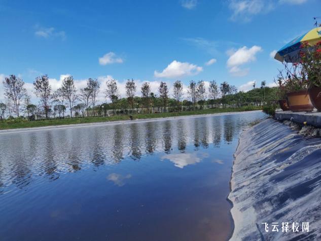 自貢職業(yè)技術(shù)學(xué)院2024單招是面試還是筆試