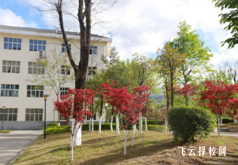 川北幼兒師范高等?？茖W(xué)校有單招培訓(xùn)嗎