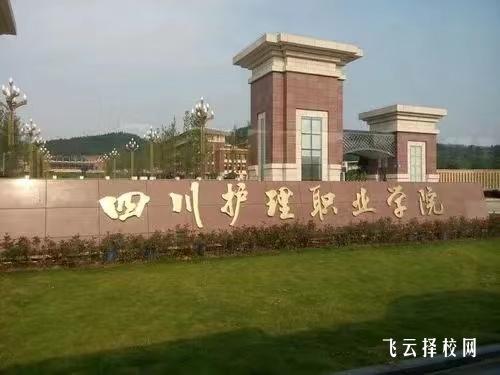 四川護理職業學院有單招培訓嗎