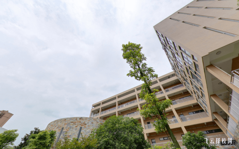 四川藝術職業學院有單招培訓嗎