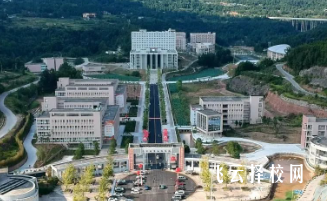 巴中職業(yè)技術學院怎么查單招成績