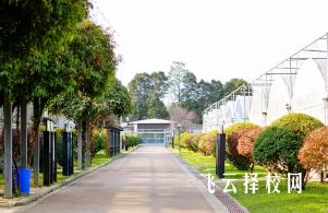 成都農業科技職業學院怎么查單招成績