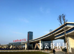 成都藝術職業大學怎么查單招成績